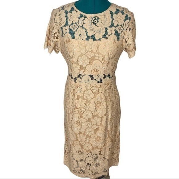 NSR Revolve Lace Short Sleeve Sheath Midi Dress - Picture 3 of 9